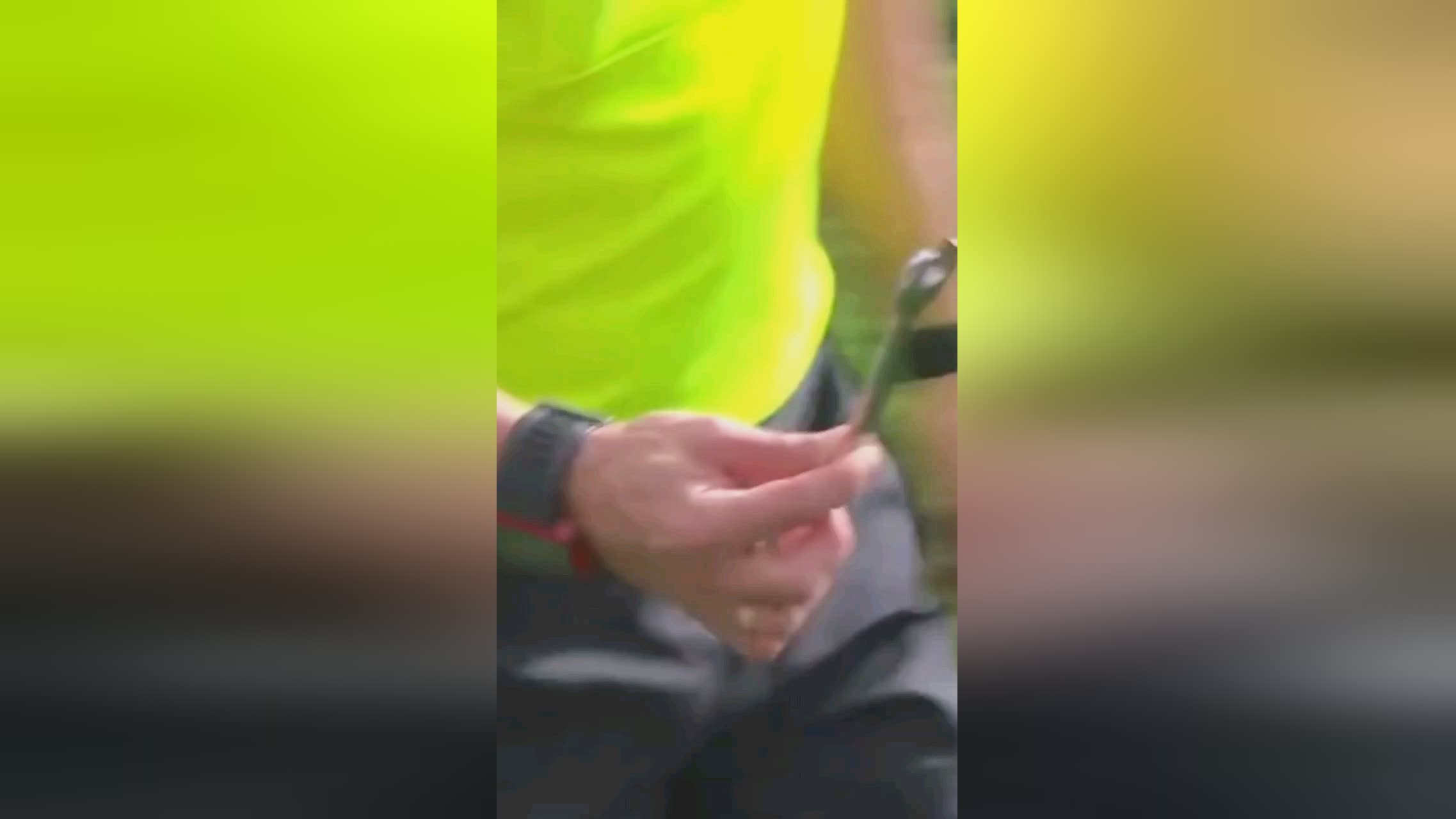 中組的每